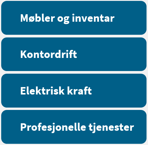 Figuren viser kategoriene møbler og inventar, kontordrift, elektrisk kraft og profesjonelle tjenester..