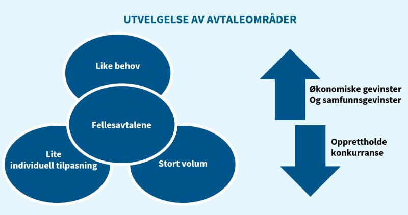 Figur 7.1.2.1 viser de de fem dimensjonene som Statens Innkjøpssenter vurderer etter i utvelgelsesprosesser av kontraktsområder.