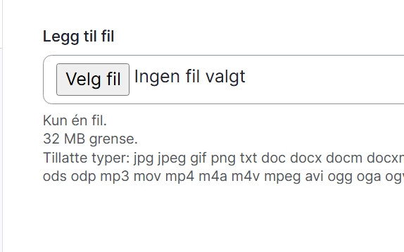 Skjermbildeeksempel